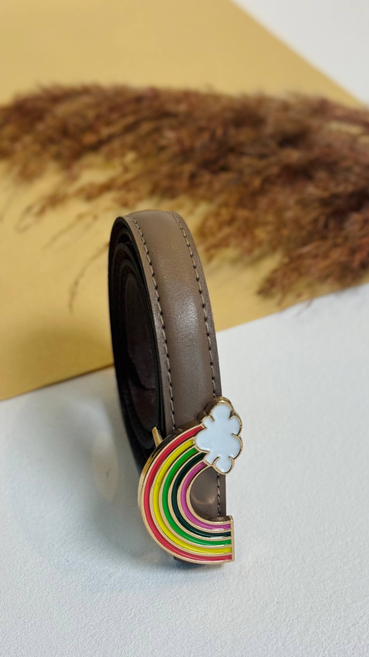 Rainbow Belt