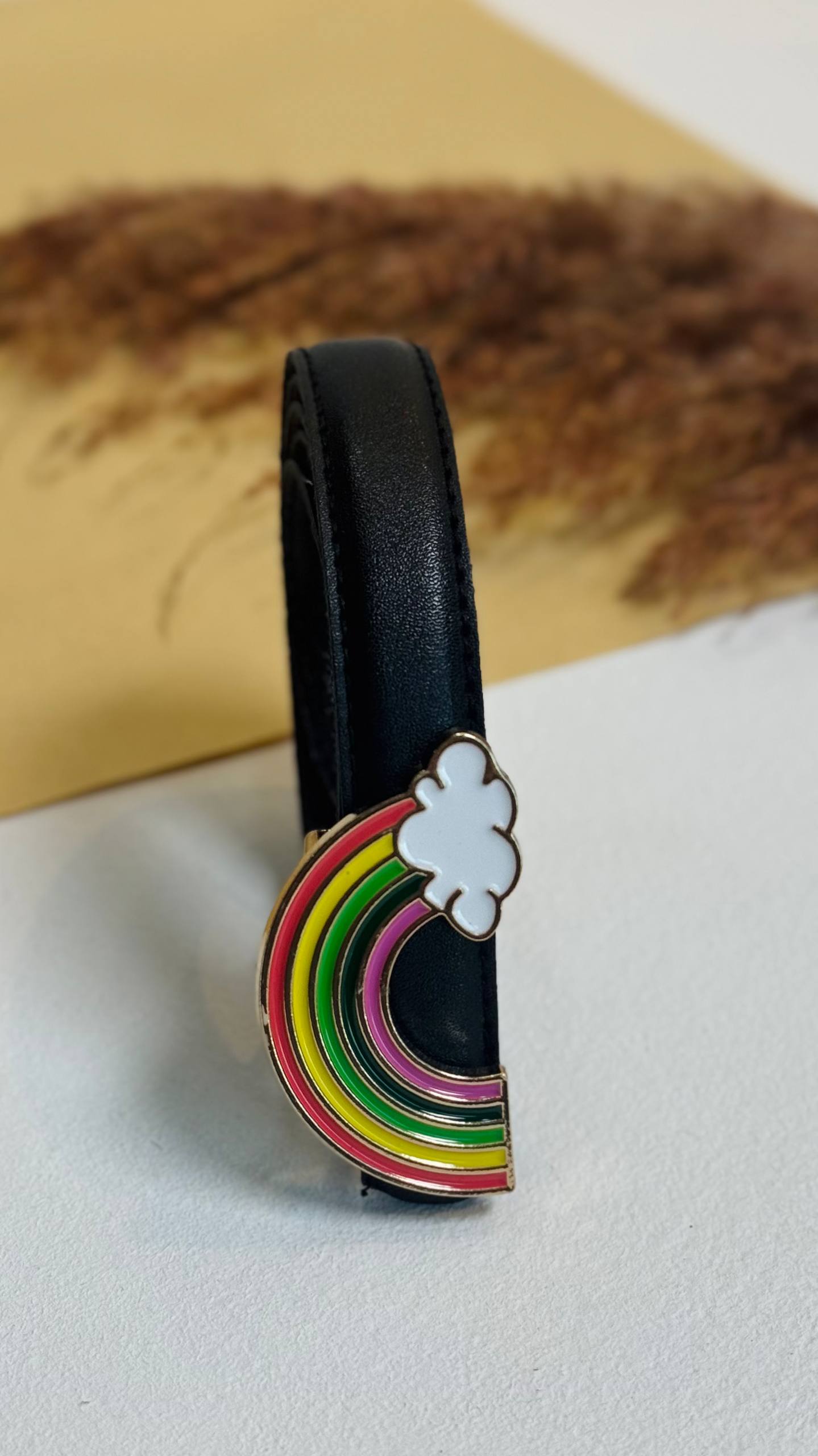 Rainbow Belt